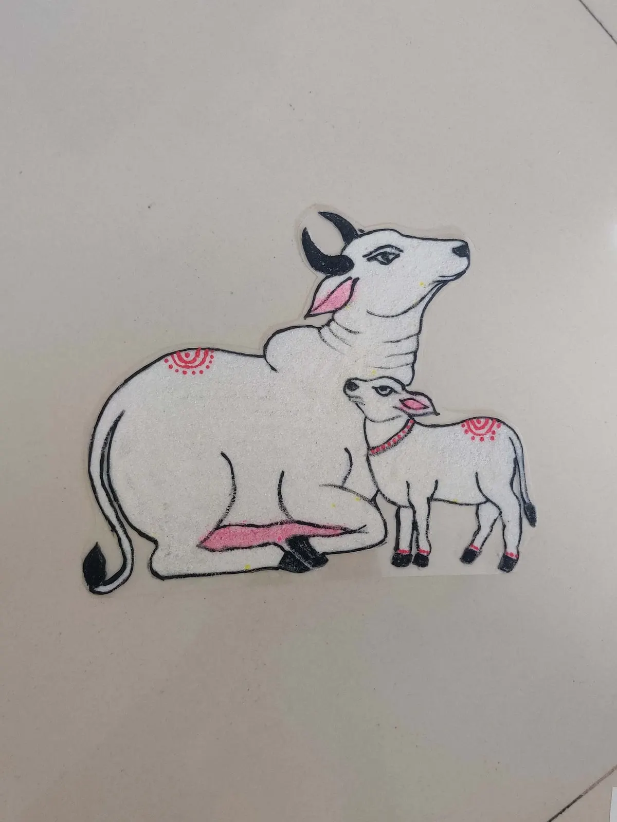 Cow Calf Standing Lying